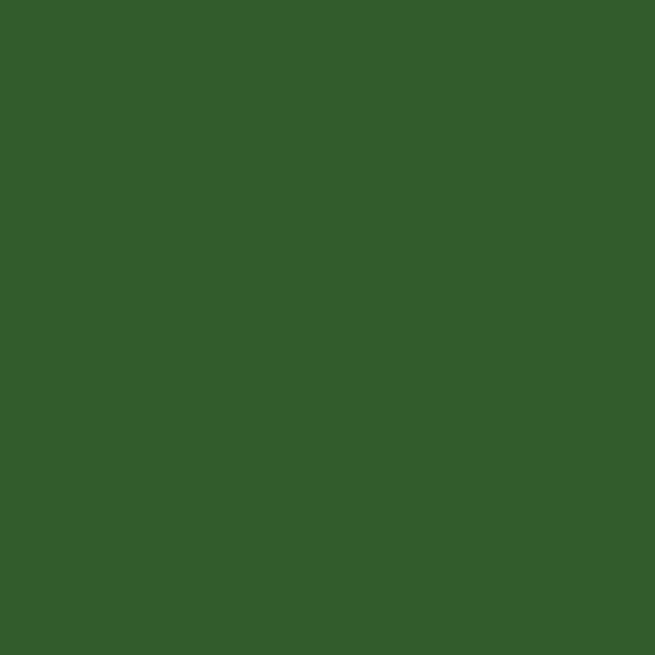 RAL 6002 Colour (Leaf green) - RAL Green colours